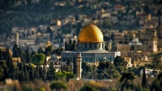 منظمة تضامن الشعوب الإفريقية الأسيوية تشيد بموقف جلالة الملك الثابت والداعم لفلسطين وقضيتها