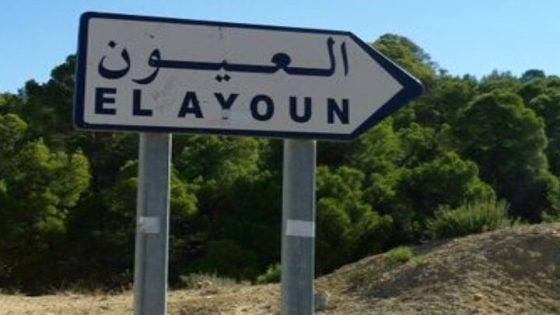 العيون: المصالح البلدية تنقل ورشات الحرفيين خارج المدينة حفاظا على جماليتها
